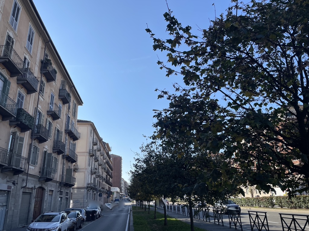 8285C6BF-D503-46E4-9ACA-4601DBB35D4A_1_105_c