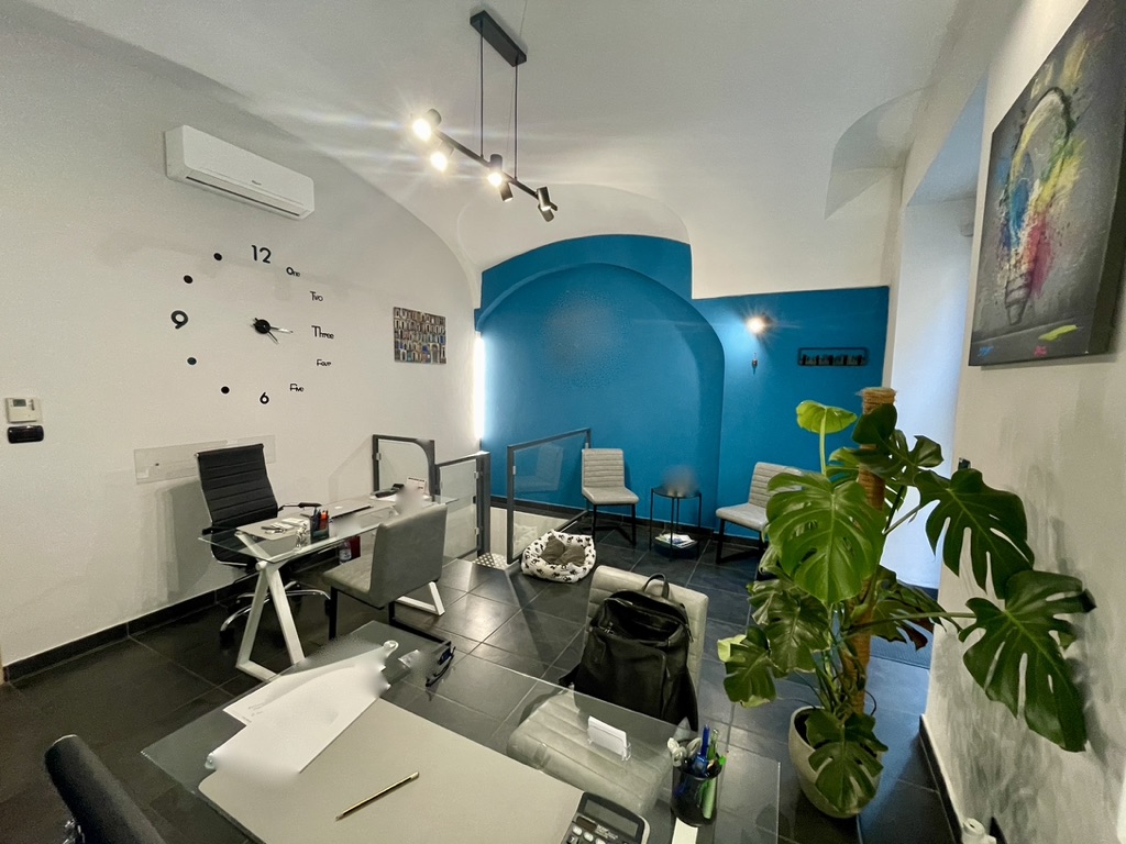 986BB3F0-8787-480C-B5B7-9E2CD34EAAA4_1_105_c