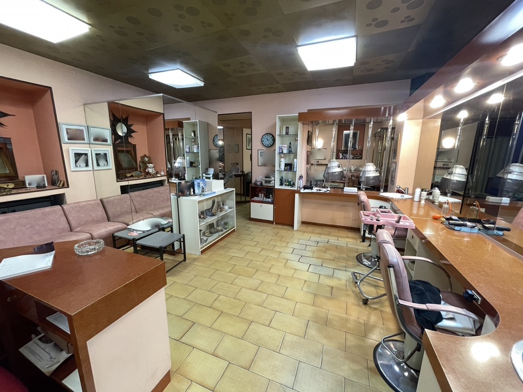 11D70378-66AF-4D9C-B6F1-F9A3E2F2597F_1_105_c