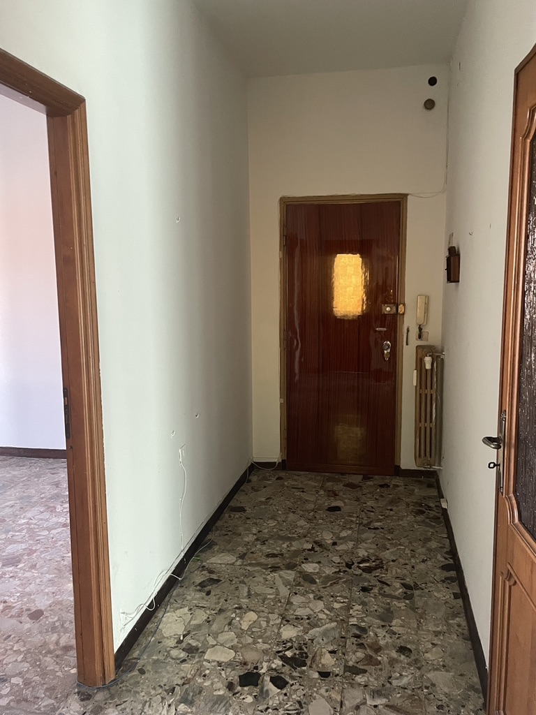 D1897542-F24F-4CD1-9A51-3C9096562685_1_105_c